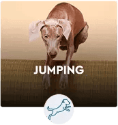 JUMPING