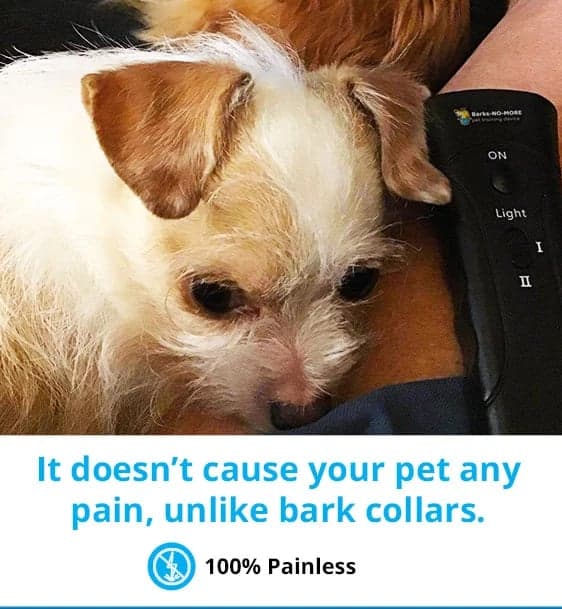 100% Painless