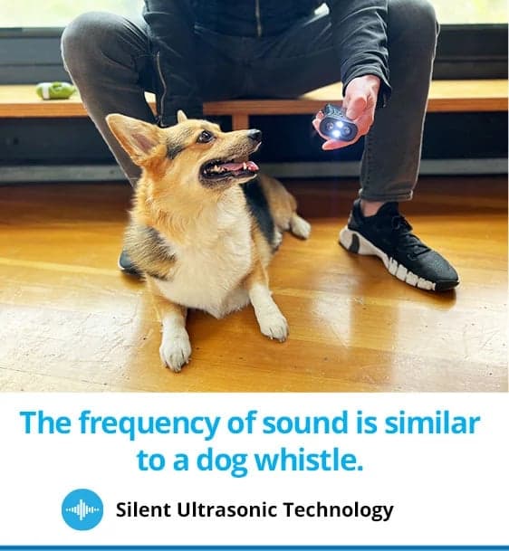 Silent Ultrasonic Technology